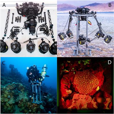 In situ Estimation of Coral Recruitment Patterns From Shallow to Mesophotic Reefs Using an Optimized Fluorescence Imaging System